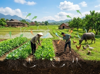 Vai trò của không khí đối với các quá trình sống