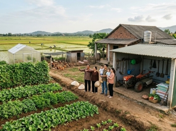Cách xác định nguồn lực hộ nông thôn đang sẵn có