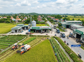 Tác giả Nguyễn Quang Thanh Phong