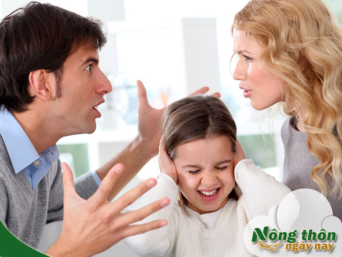 bạo lực gia đình là gì