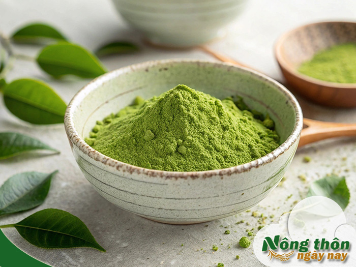 bột trà xanh có tác dụng gì