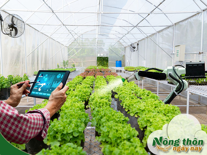 các mô hình nông nghiệp thông minh