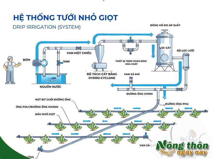 cách lắp hệ thống tưới nhỏ giọt
