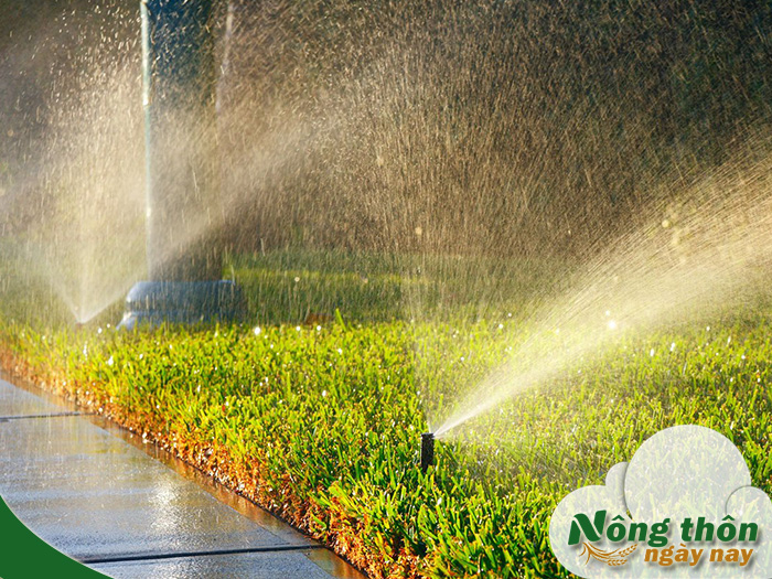 cách tưới cây tự động