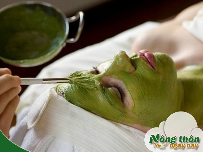Công dụng mặt nạ trà xanh sữa chua giúp se khít lỗ chân lông - Nông Thôn ngày nay