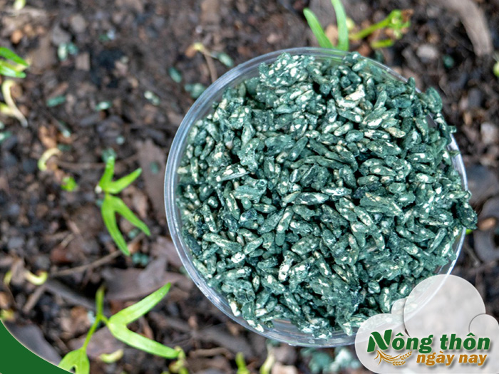 hướng dẫn sử dụng trichoderma