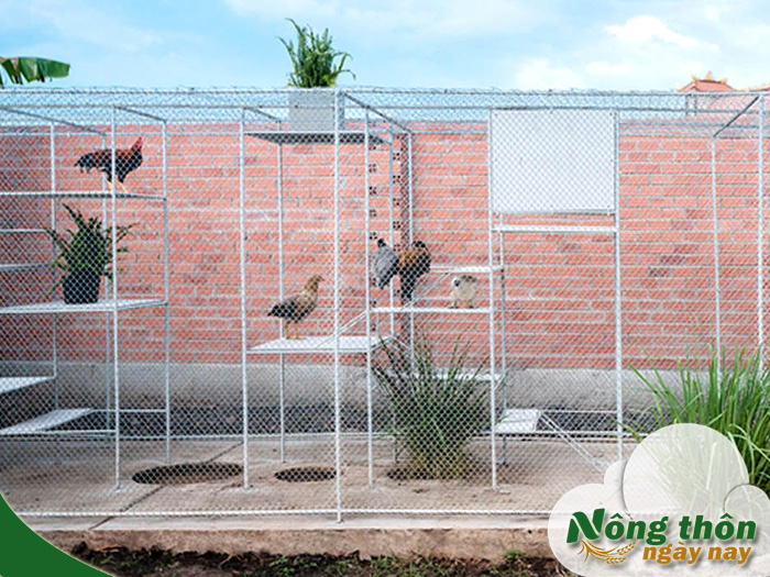 mô hình chuồng nuôi gà thả vườn