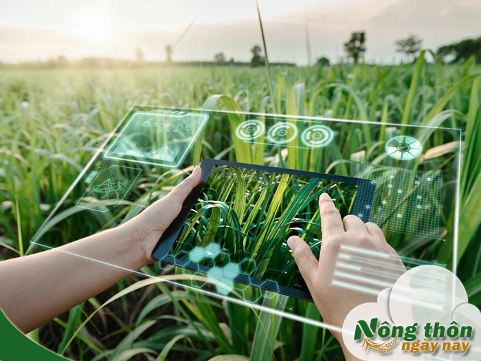 mô hình nông trại thông minh