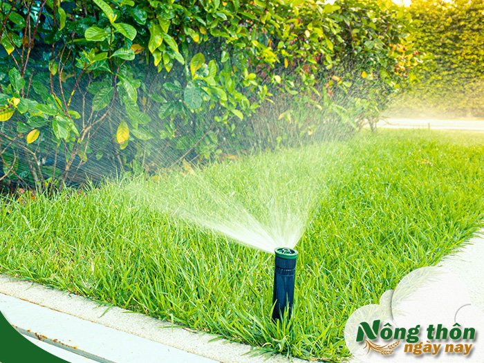 mô hình tưới cây tự động