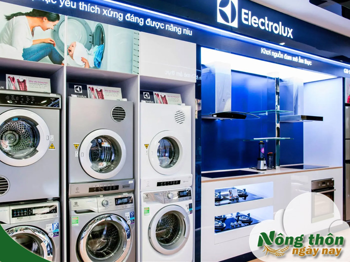 trung tâm bảo hành máy giăt electrolux
