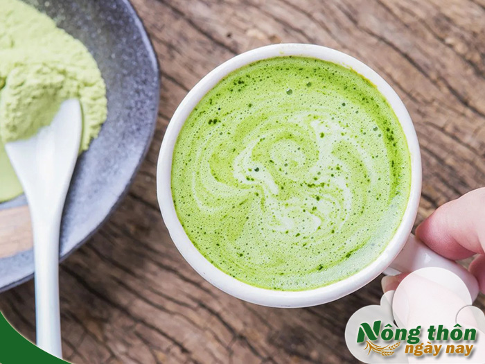 uống bột trà xanh mỗi ngày có tốt không