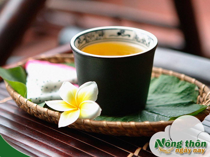uống trà xanh có tốt cho dạ dày không
