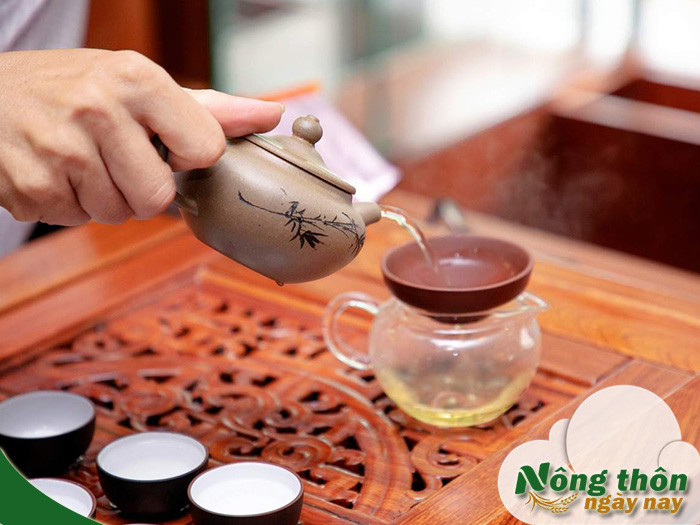 uống trà xanh có tốt cho thận không