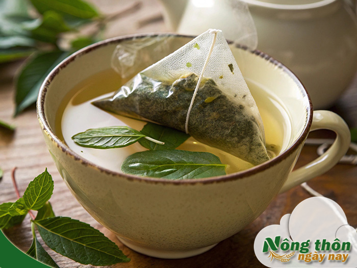 uống trà xanh túi lọc có tốt không