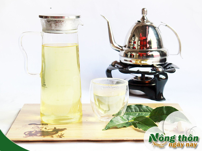 uống trà xanh tươi mỗi ngày có tốt không