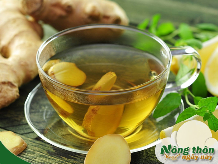 uống trà xanh với gừng có tốt không
