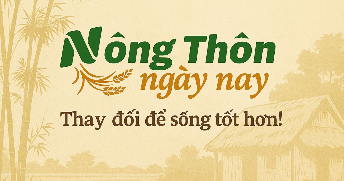 Nông thôn ngày nay