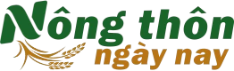 Nông Thôn ngày nay